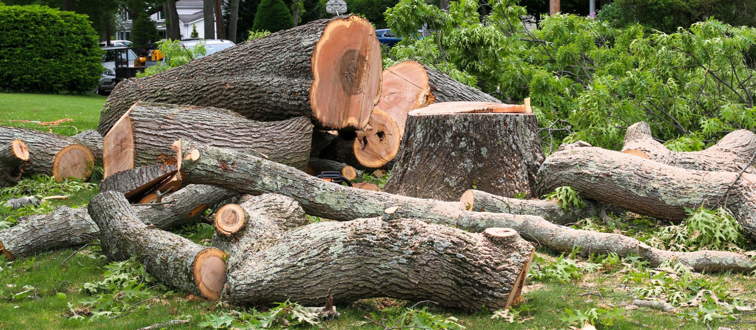Lux Tree Services