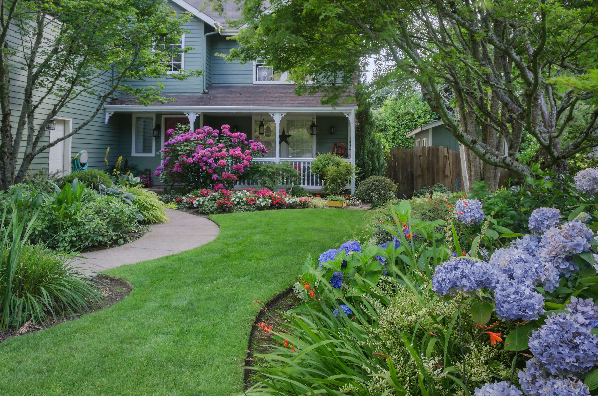 Luxury Tree Services (3)