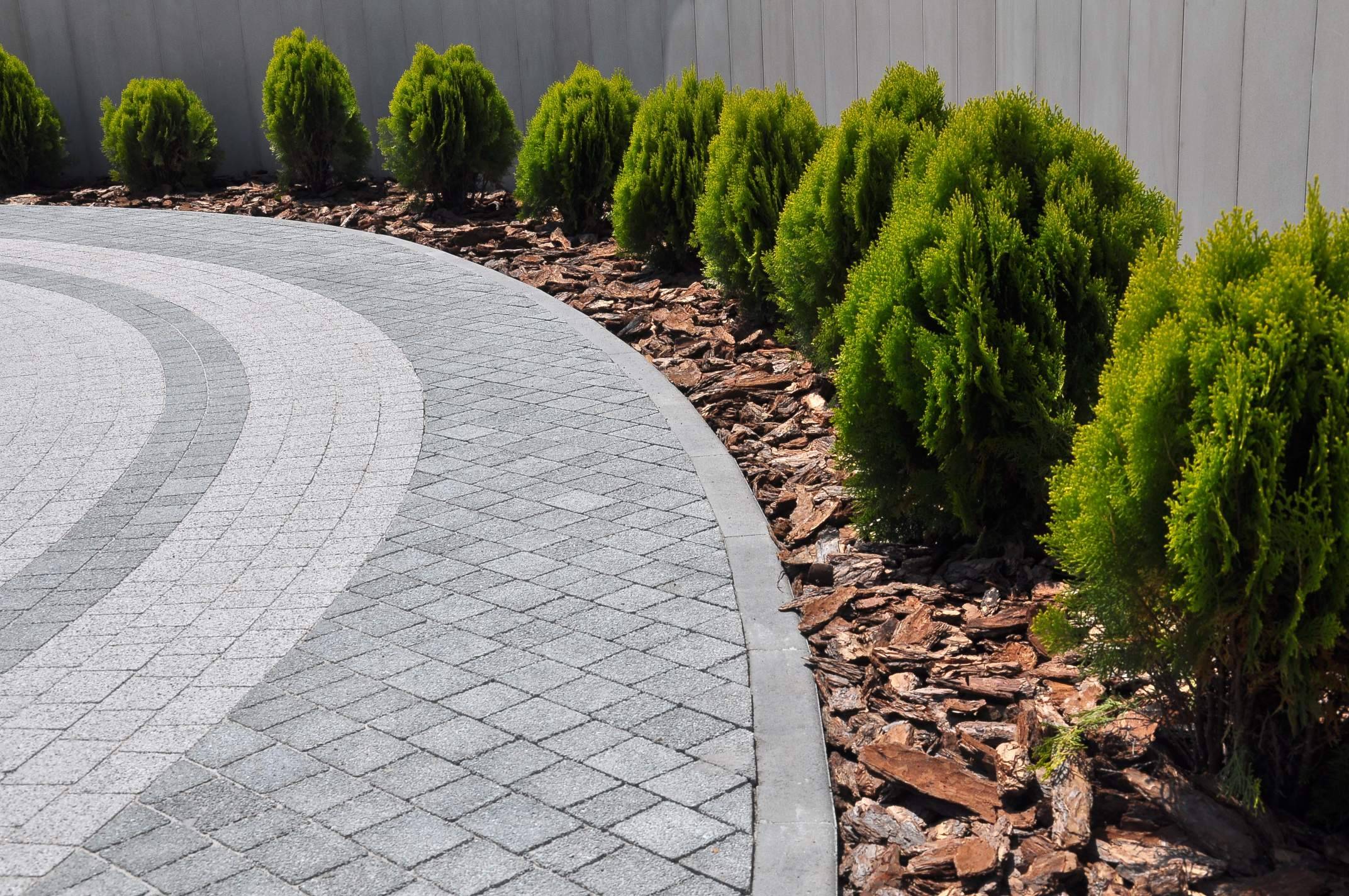 Luxury Tree Services (5)